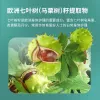 Marrero German Ma Xiaomo Ma Cream 500ml Original Imported Genuine Soothing Massage Gel German Ma Cream Specification image